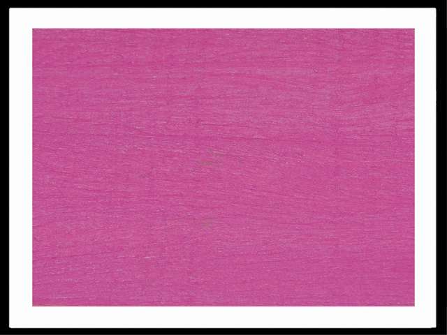 Fuschia